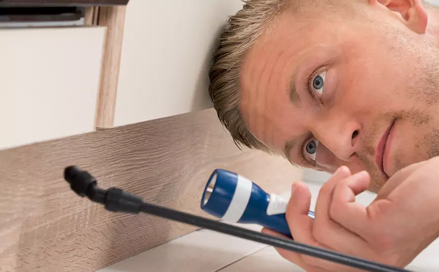 Top-Notch Pest Control in Colleyville