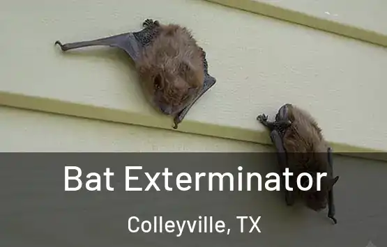  Bat Exterminator Colleyville, TX