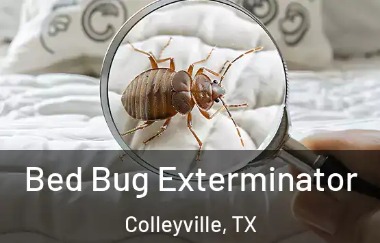  Bed Bug Exterminator Colleyville, TX