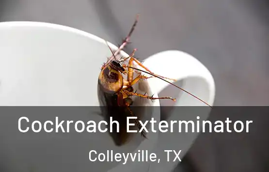  Cockroach Exterminator Colleyville, TX
