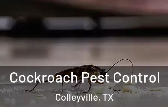  Cockroach Pest Control Colleyville, TX