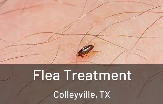  Flea Treatment Colleyville, TX