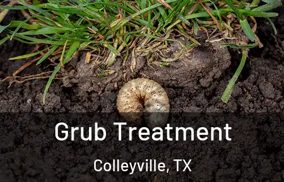  Grub Treatment Colleyville, TX