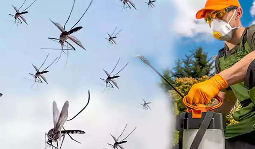 Mosquito Pest Control in Colleyville, TX