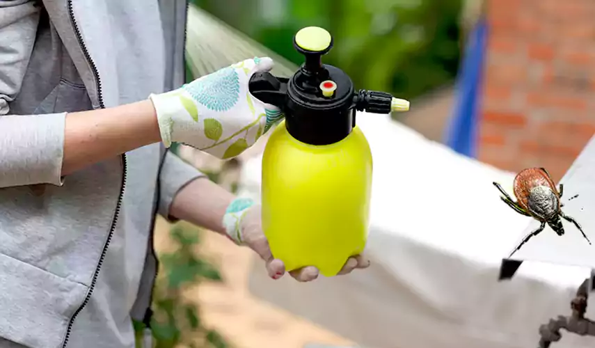 Ticks Pest Control Colleyville, Texas