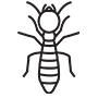 Termites Pest Control Colleyville, Texas