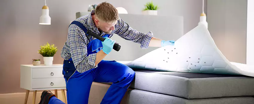 bed-bug-treatment in Colleyville, TX