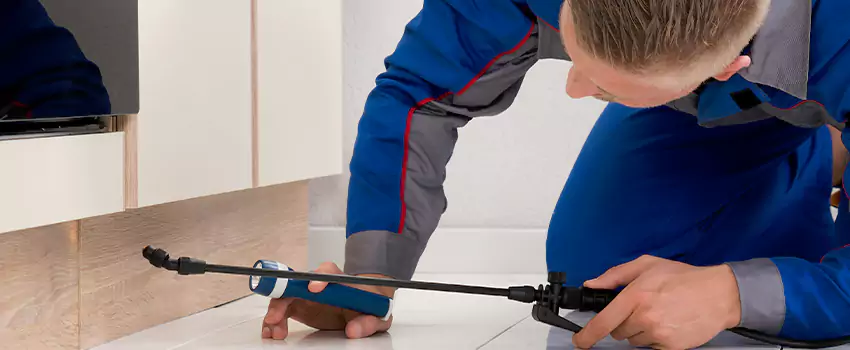 Commercial Pest Control for Offices in Colleyville, TX