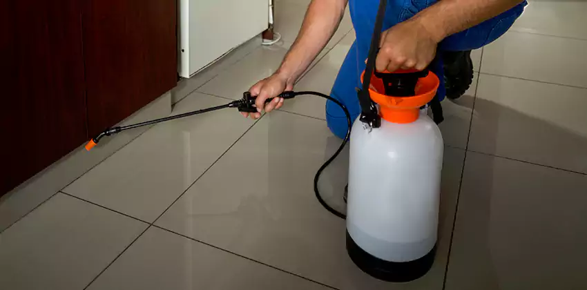 Commercial Pest Extermination for Offices in Colleyville, TX