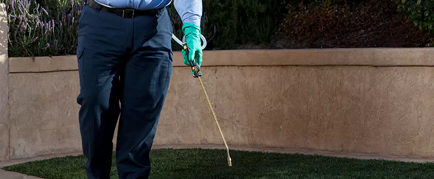 Emergency Pest Extermination for Children and Pets Colleyville, TX