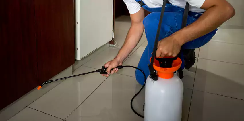 Commercial Flea Exterminator Company in Colleyville, TX
