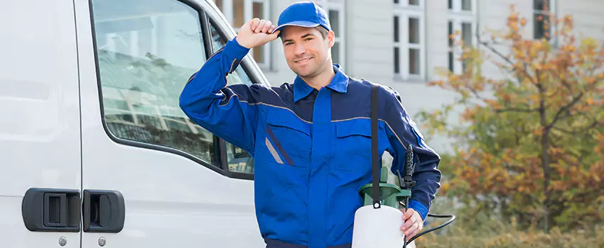 Organic and Chemical Spider Control Options Colleyville, TX