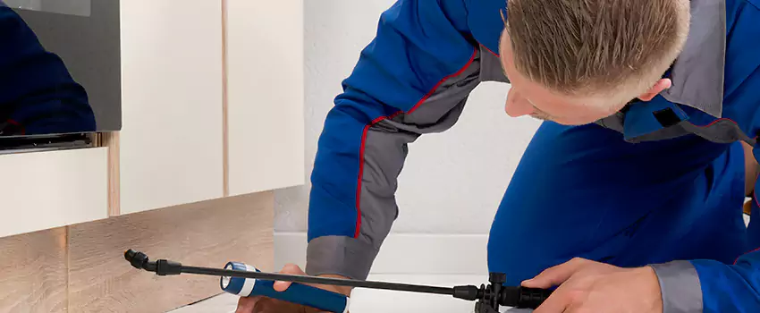 Termite Control for Children and Pets in Colleyville, TX