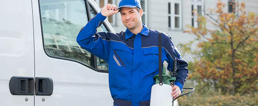 Whitefly Treatment for Bedrooms Colleyville, TX