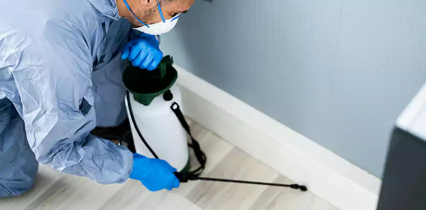 commercial-pest-exterminator in Colleyville, TX
