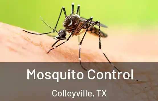  Mosquito Control Colleyville, TX