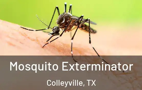  Mosquito Exterminator Colleyville, TX