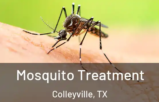  Mosquito Treatment Colleyville, TX