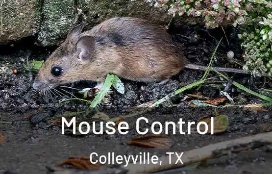  Mouse Control Colleyville, TX