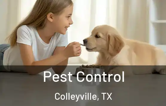 Pest Control Colleyville, TX