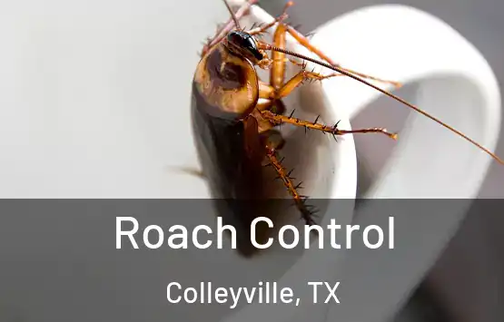  Roach Control Colleyville, TX