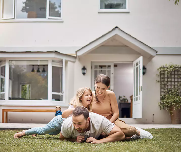 About Ant Control Colleyville