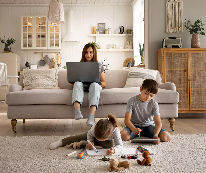 About Mice Control Colleyville