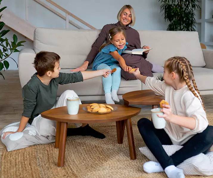 About Spider Exterminator Colleyville