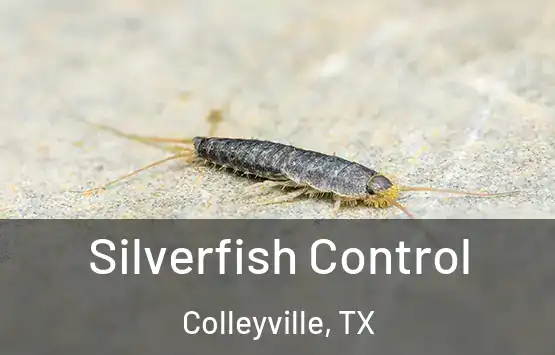  Silverfish Control Colleyville, TX