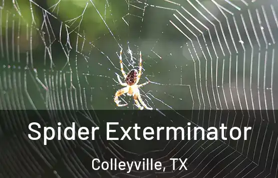  Spider Exterminator Colleyville, TX