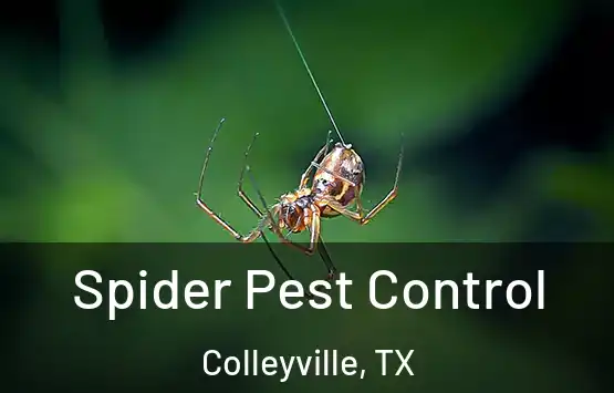  Spider Pest Control Colleyville, TX