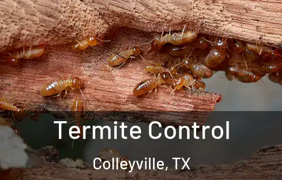  Termite Control Colleyville, TX