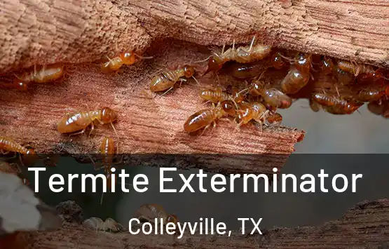  Termite Exterminator Colleyville, TX