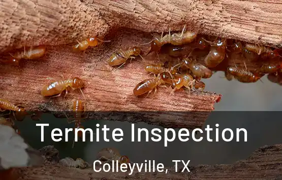  Termite Inspection Colleyville, TX