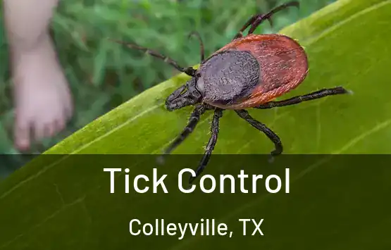  Tick Control Colleyville, TX