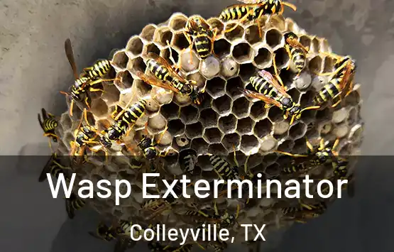  Wasp Exterminator Colleyville, TX