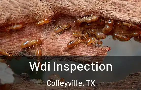  Wdi Inspection Colleyville, TX