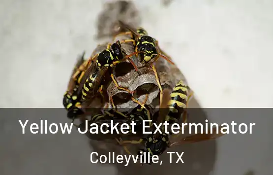  Yellow Jacket Exterminator Colleyville, TX